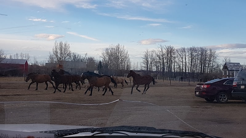 Humblehorse Ranch