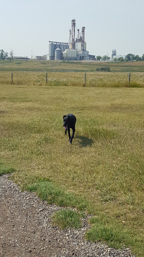 Town Of Strathmore Dog Park