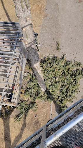 Positive Pruning & Maintenance