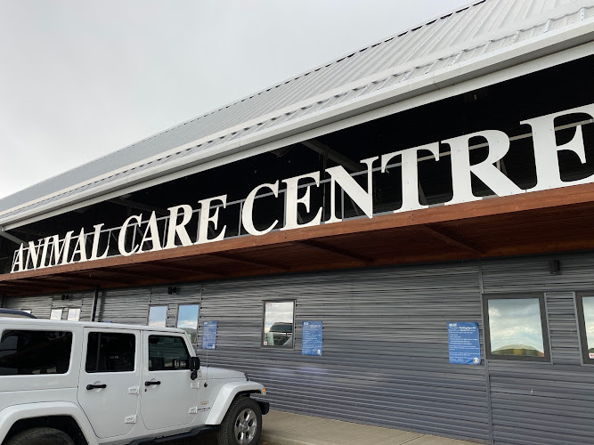 Animal Care Centre of Strathmore